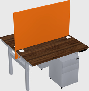 Shared electric desk