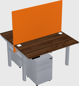 Shared electric desk