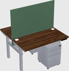 Shared electric desk