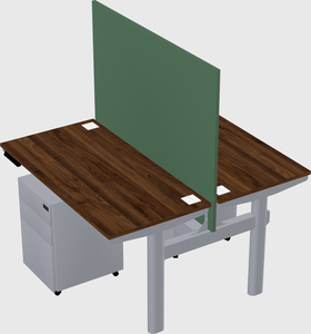 Shared electric desk
