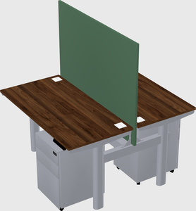 Shared electric desk