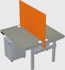 Shared electric desk