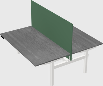 Shared electric desk