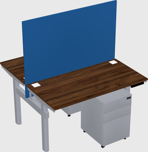 Shared electric desk