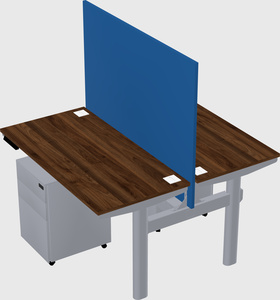 Shared electric desk