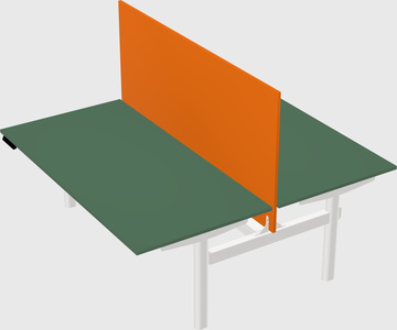 Shared electric desk