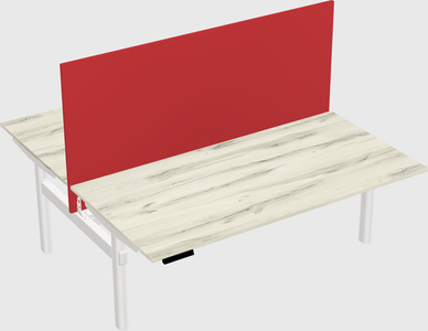 Shared electric desk