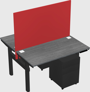 Shared electric desk