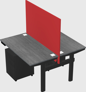 Shared electric desk