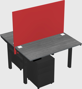 Shared electric desk