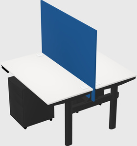 Shared electric desk