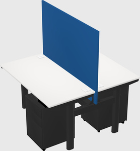 Shared electric desk