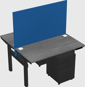 Shared electric desk