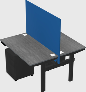 Shared electric desk