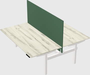 Shared electric desk