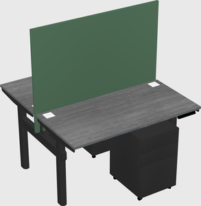 Shared electric desk