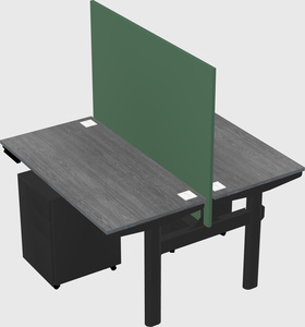 Shared electric desk