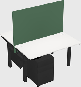 Shared electric desk