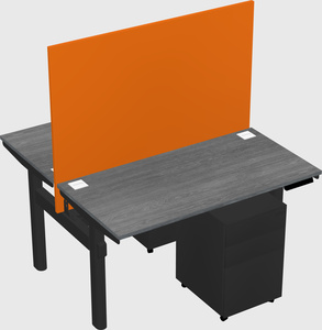 Shared electric desk