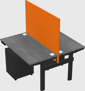 Shared electric desk
