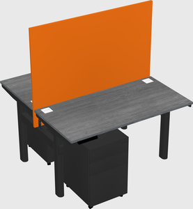 Shared electric desk