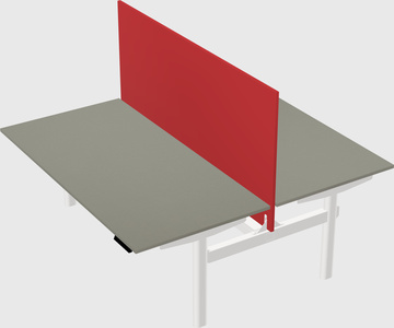 Shared electric desk