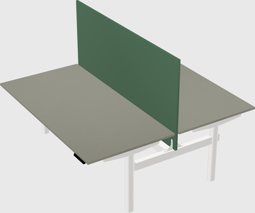 Shared electric desk