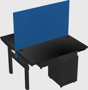Shared electric desk