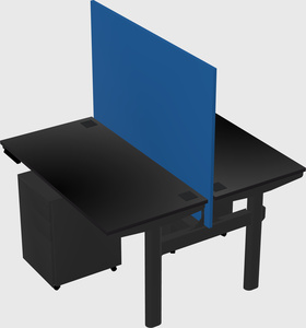 Shared electric desk