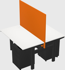Shared electric desk
