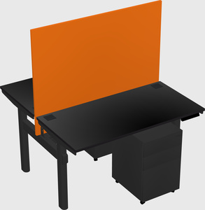 Shared electric desk