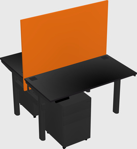 Shared electric desk