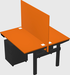 Shared electric desk