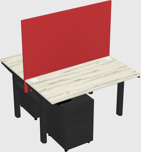 Shared electric desk