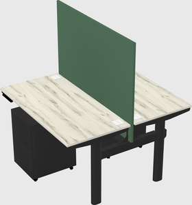Shared electric desk