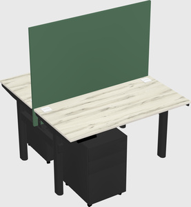 Shared electric desk