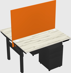 Shared electric desk