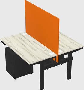 Shared electric desk