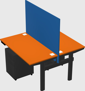 Shared electric desk