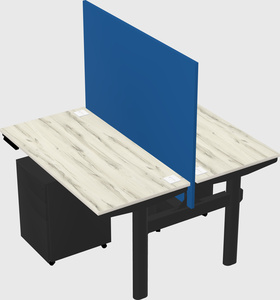 Shared electric desk
