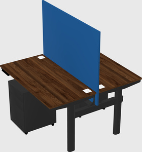 Shared electric desk