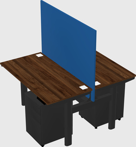 Shared electric desk