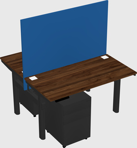 Shared electric desk