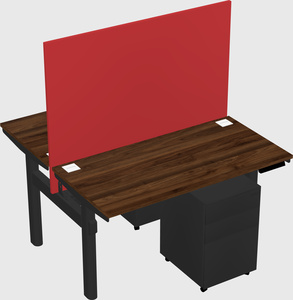 Shared electric desk
