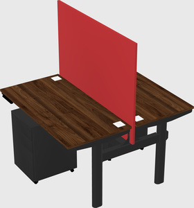 Shared electric desk