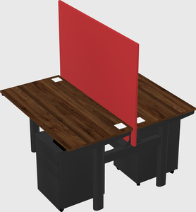 Shared electric desk