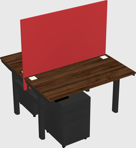 Shared electric desk