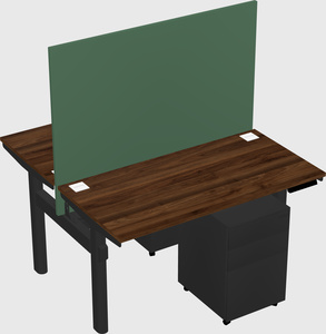 Shared electric desk