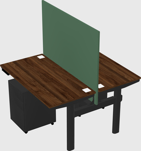 Shared electric desk