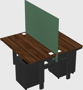 Shared electric desk
